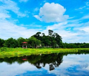 Nam cát tiên toàn cảnh