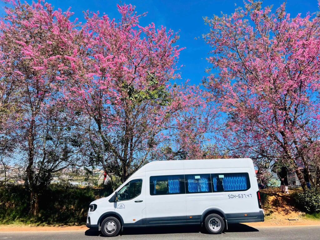 Các bước Đặt Xe Thuê Xe 18 Chỗ Đi Bãi Cháy Tại ThueXeHuyDat.com chi tiết